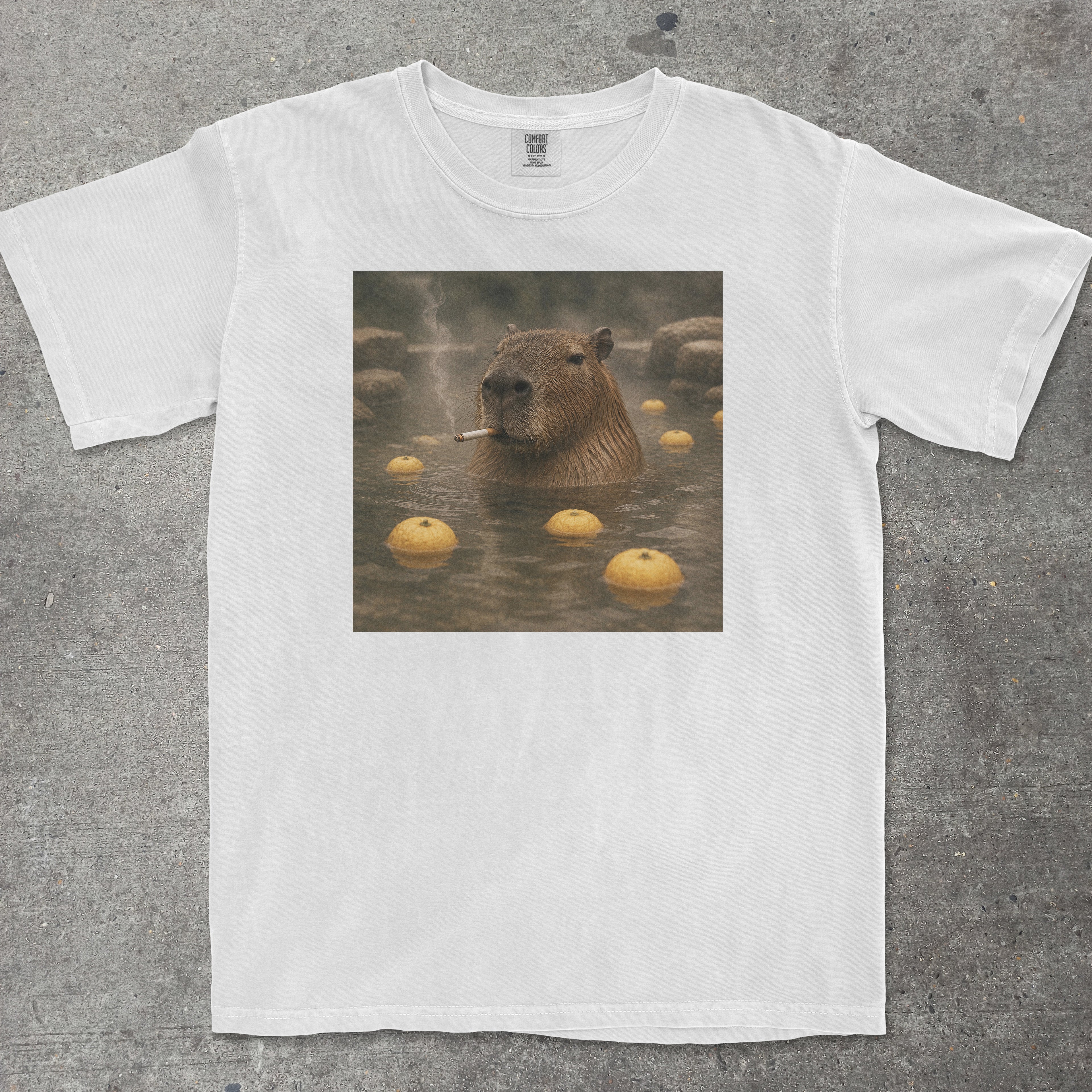 CAPYBARA ONSEN SMOKING