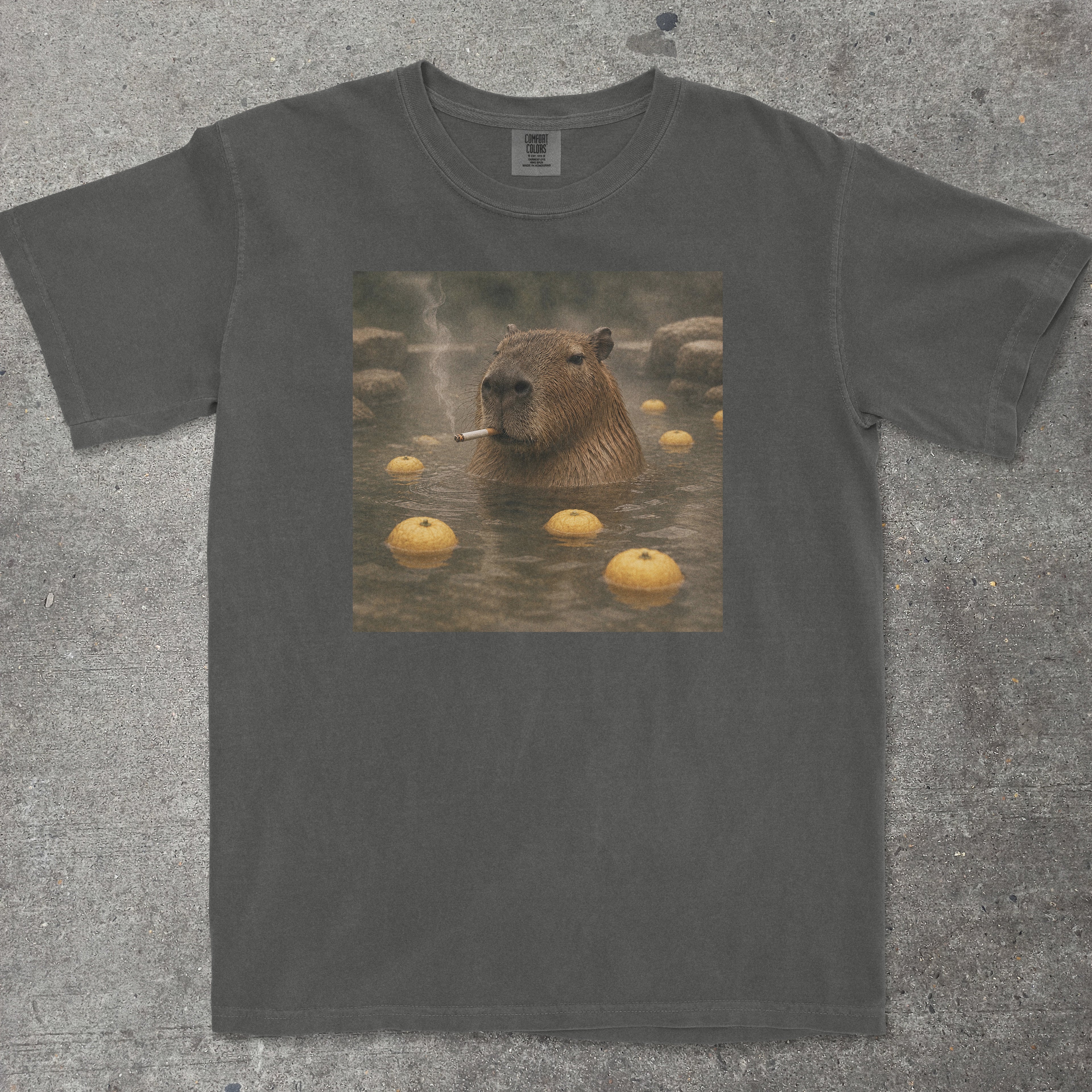 CAPYBARA ONSEN SMOKING