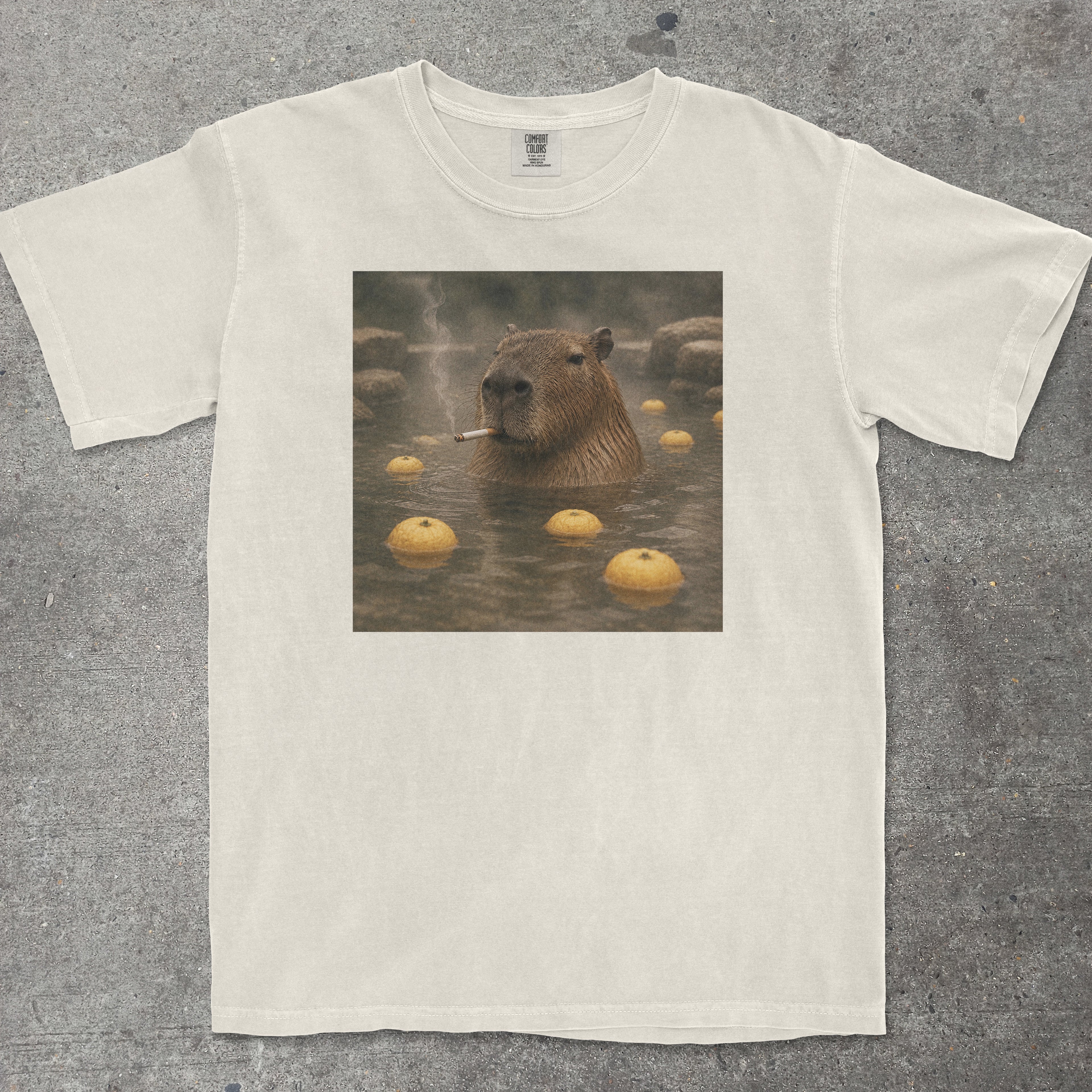 CAPYBARA ONSEN SMOKING