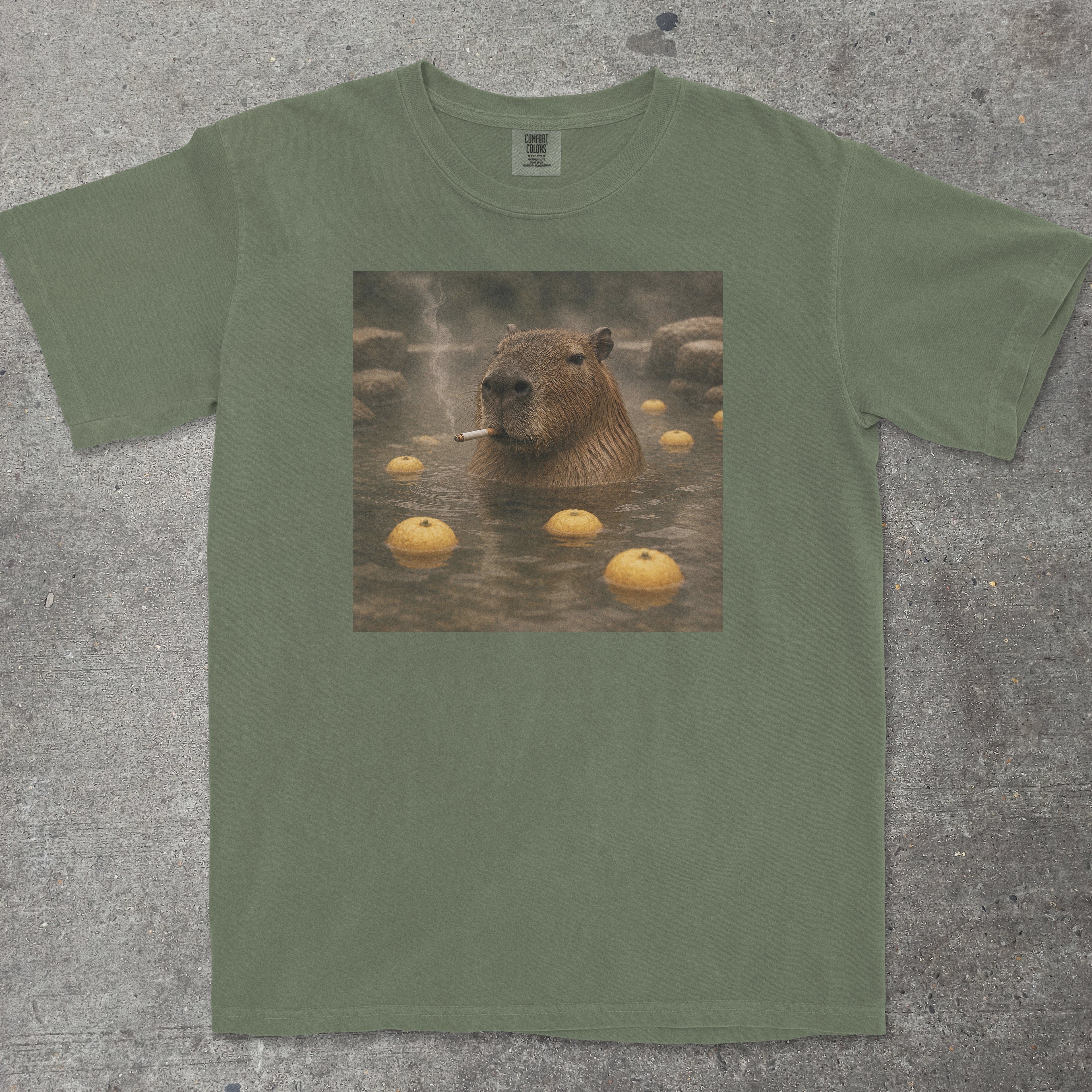 CAPYBARA ONSEN SMOKING