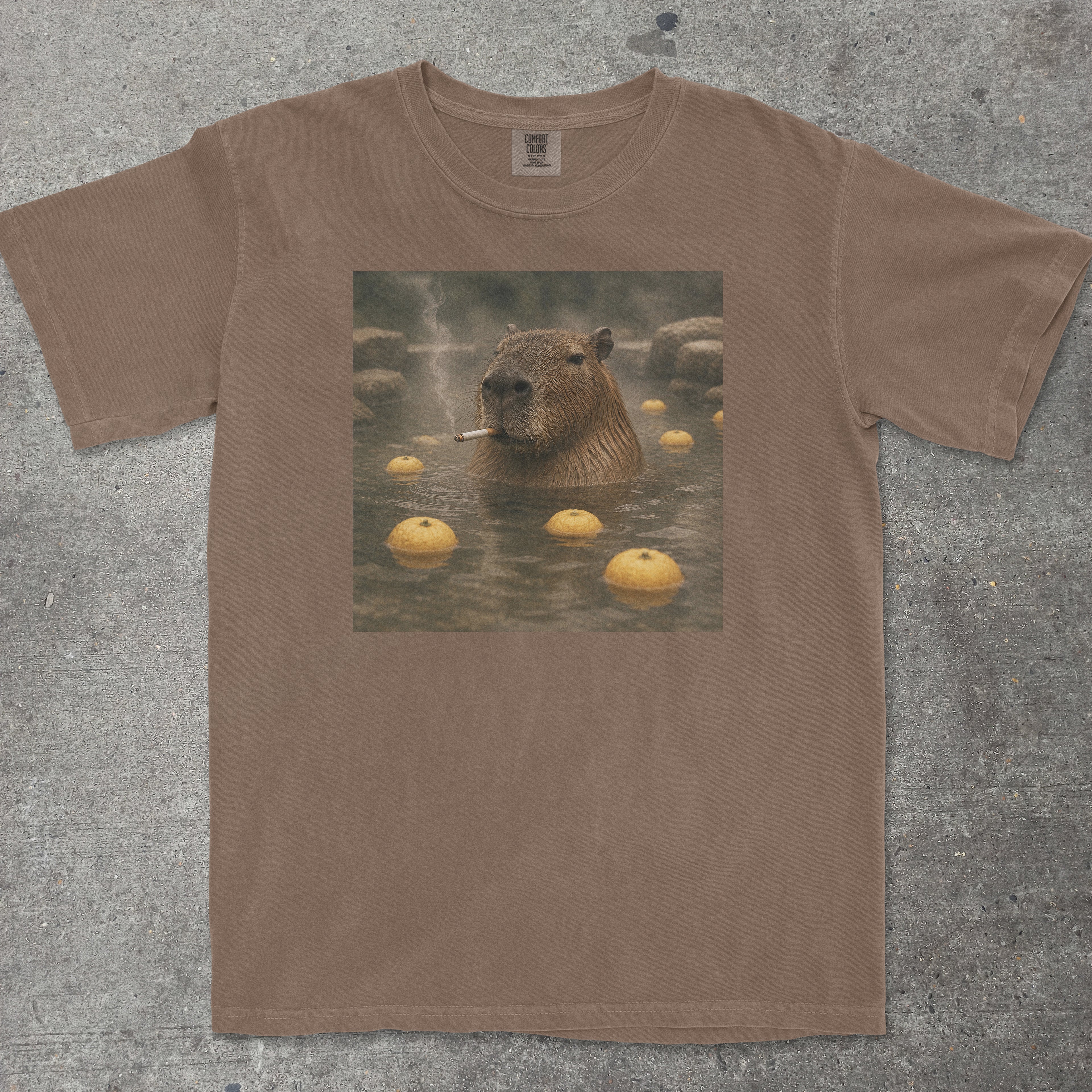 CAPYBARA ONSEN SMOKING