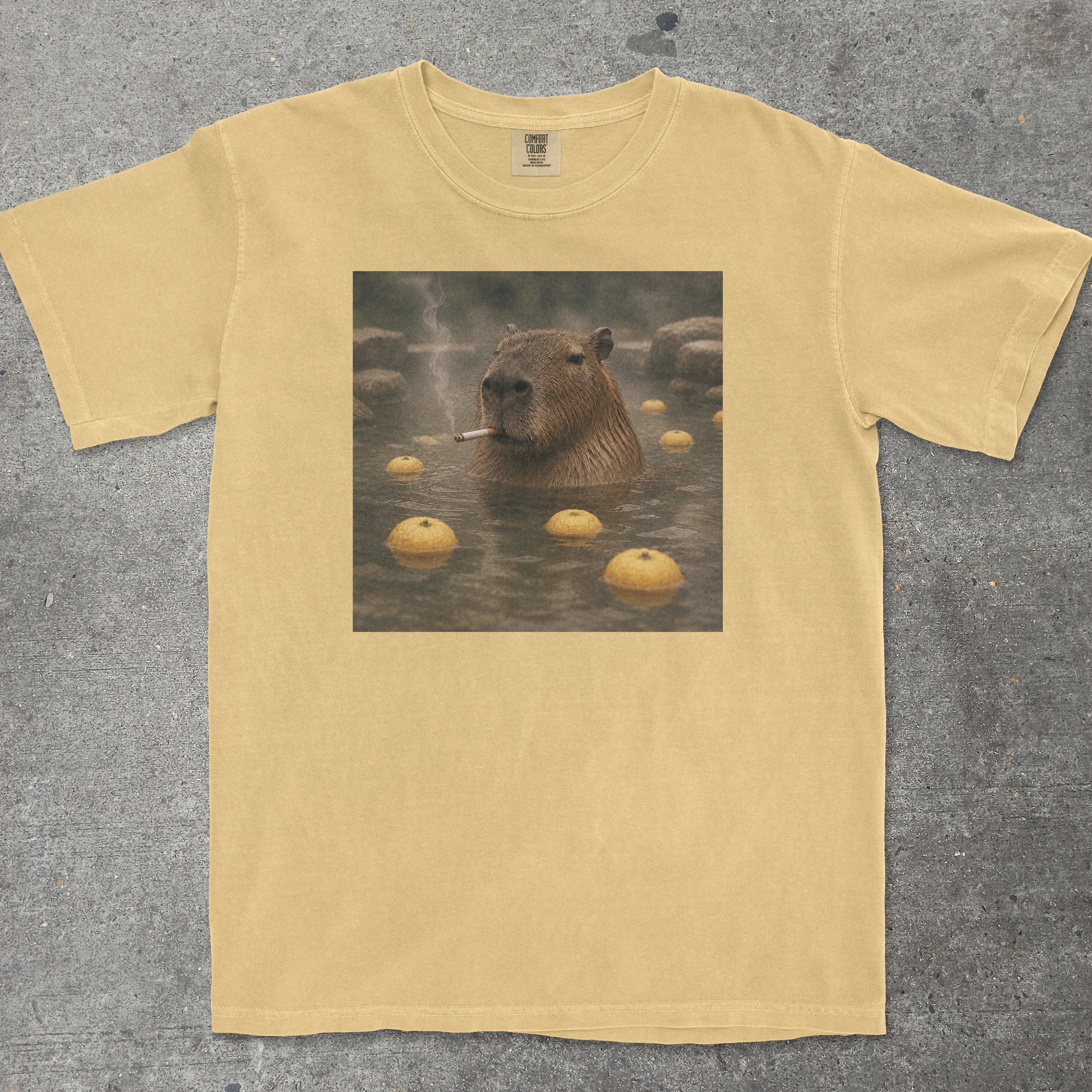 CAPYBARA ONSEN SMOKING