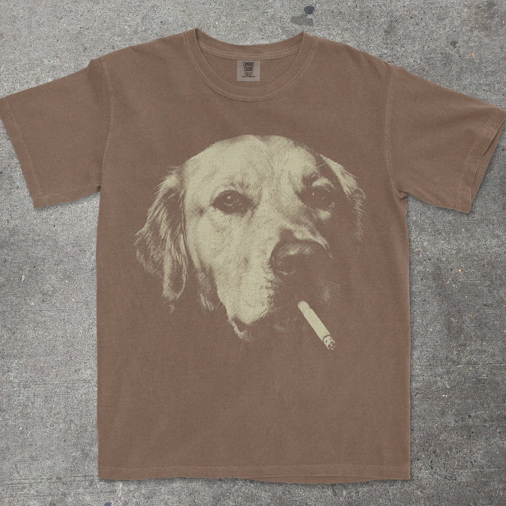 SMOKING GOLDEN RETRIEVER FACE