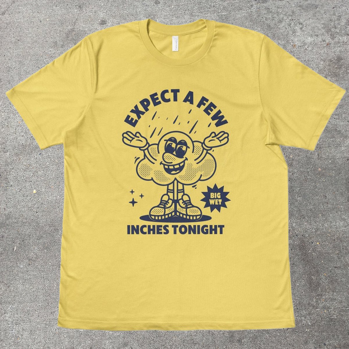 EXPECT A FEW INCHES TONIGHT - TeeHeeUSCo - T-Shirt