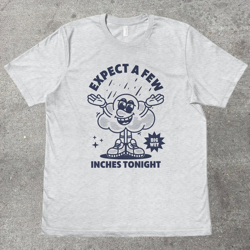 EXPECT A FEW INCHES TONIGHT - TeeHeeUSCo - T-Shirt