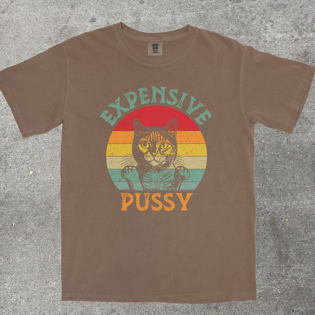 EXPENSIVE P*SSY - TeeHeeUSCo - T-Shirt
