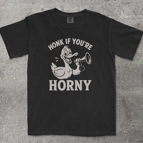 HONK IF YOU'RE H0RNY - TeeHeeUSCo - T-Shirt