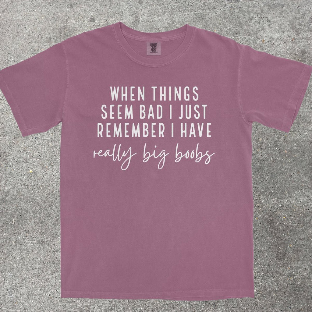 REALLY BIG B00BS - TeeHeeUSCo - T-Shirt